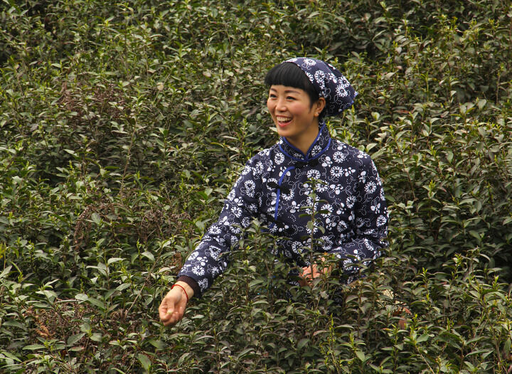 183间房主播跳舞 影视5
